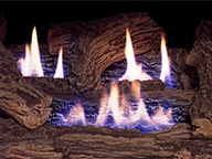 Everwarm – Palmetto Oak – Vent Free Gas Logs
