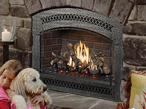Fireplace Xtrordinair - Gas Fireplace